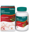 HIMALAYA Boswellia Joint Wellness 60 Veg.Caps