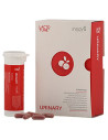 INNOVIS Lactotune Urinary 30 Caps