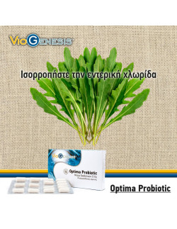 Viogenesis Optima Probiotic 22 Billion 30 Enteric coated caps