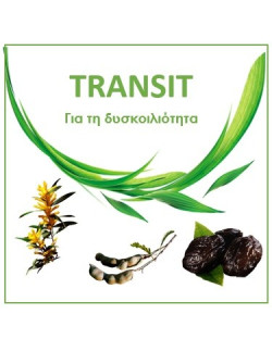 Naturactive Transit Συμπλήρωμα Διατροφής Εντέρου με Δαμάσκηνο, Ακακία - Ταμάρινθος 20 Φακελίσκοι x 12ml