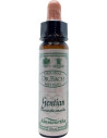 Ainsworths Bach Gentian 10ml