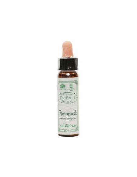 Ainsworths Bach Honeysuckle 10ml