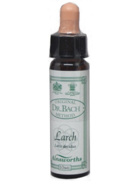 Ainsworths Bach Larch 10ml