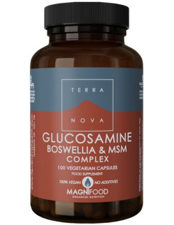 Terranova Glucosamine, Boswellia & ΜSM Joint Support Complex 100 veg. Caps