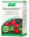 Vogel Glucosamine plus 60 Tabs