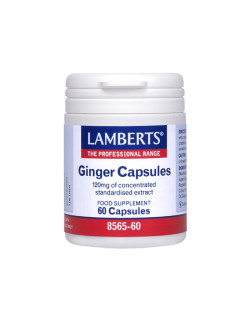 Lamberts Ginger Capsules...