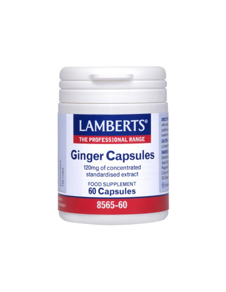 Lamberts Ginger Capsules 120mg 60 Caps