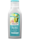 JASON Smooth & Shine Sea Kelp + Porphyra Algae Shampoo 473ml