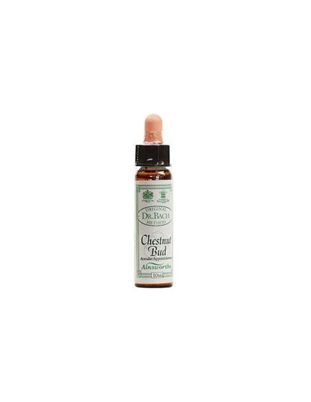 Ainsworths Bach Chestnut Bud 10ml