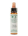 Ainsworths Bach Holly 10ml