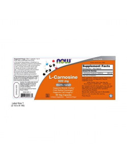 Now Foods L-Carnosine 500mg Συμπλήρωμα Διατροφής με Αντιοξειδωτική & Αντιγηραντική δράση 50Veg.Caps.