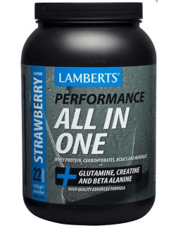 LAMBERTS PERFORMANCE ALL IN ONE STRAWBERRY 1450 gr