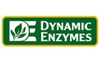 Dynamic Enzymes
